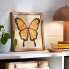 Cricut-Maker-4-Project-Butterfly-Frame-9387-1280x1280